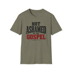 Not ashamed of the gospel T-Shirt