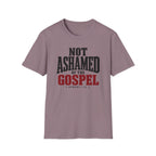 Not ashamed of the gospel T-Shirt