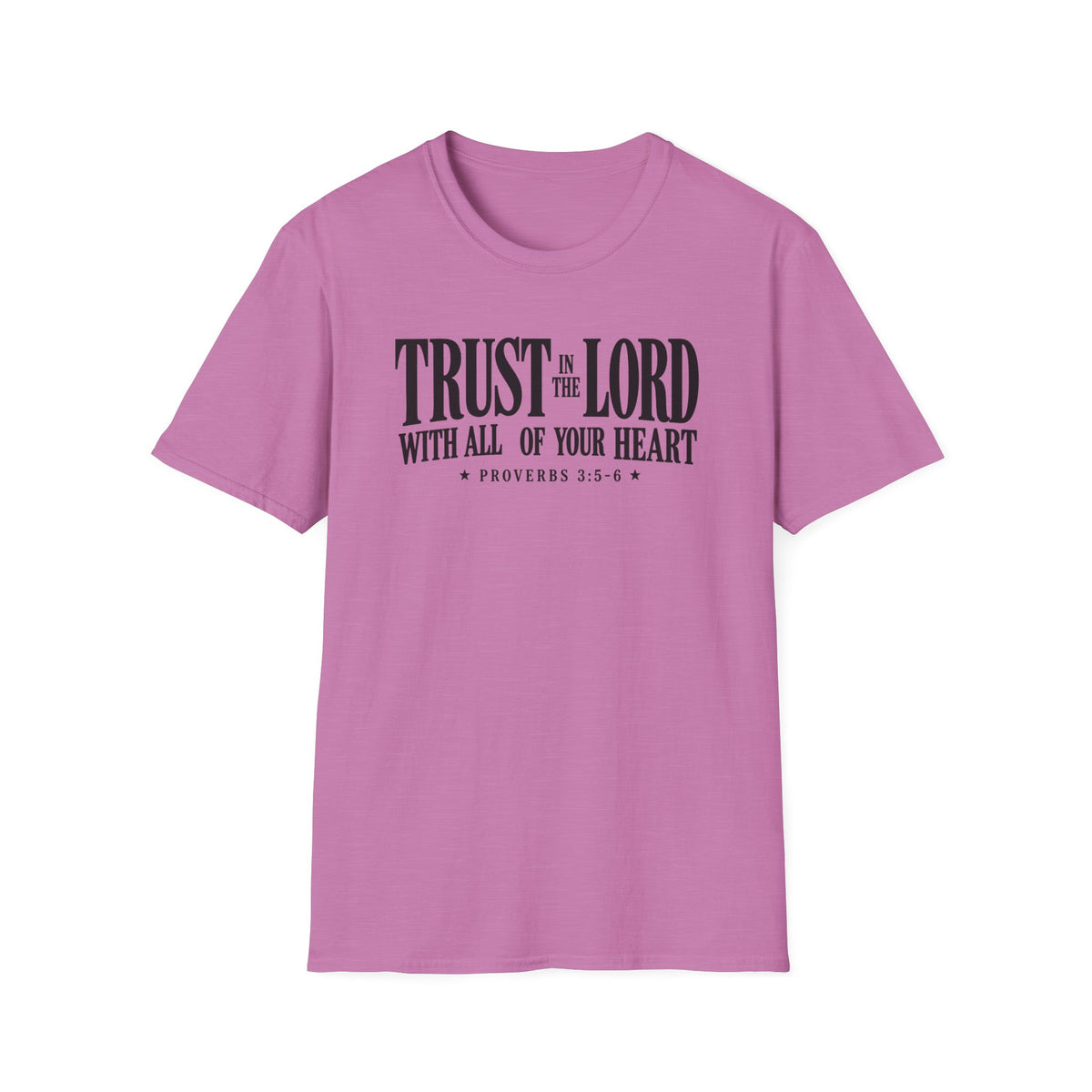 Trust in the Lord T-Shirt