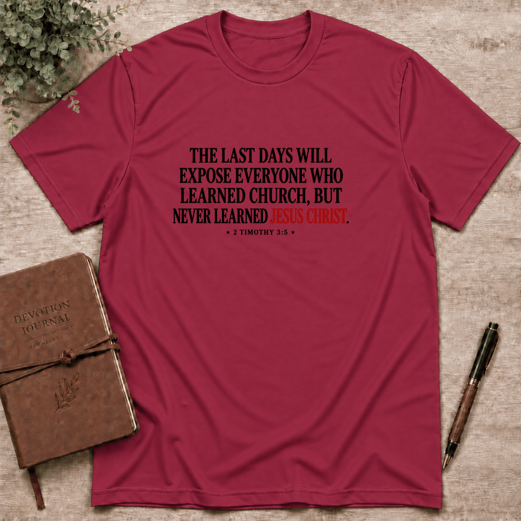 The last days... T-Shirt